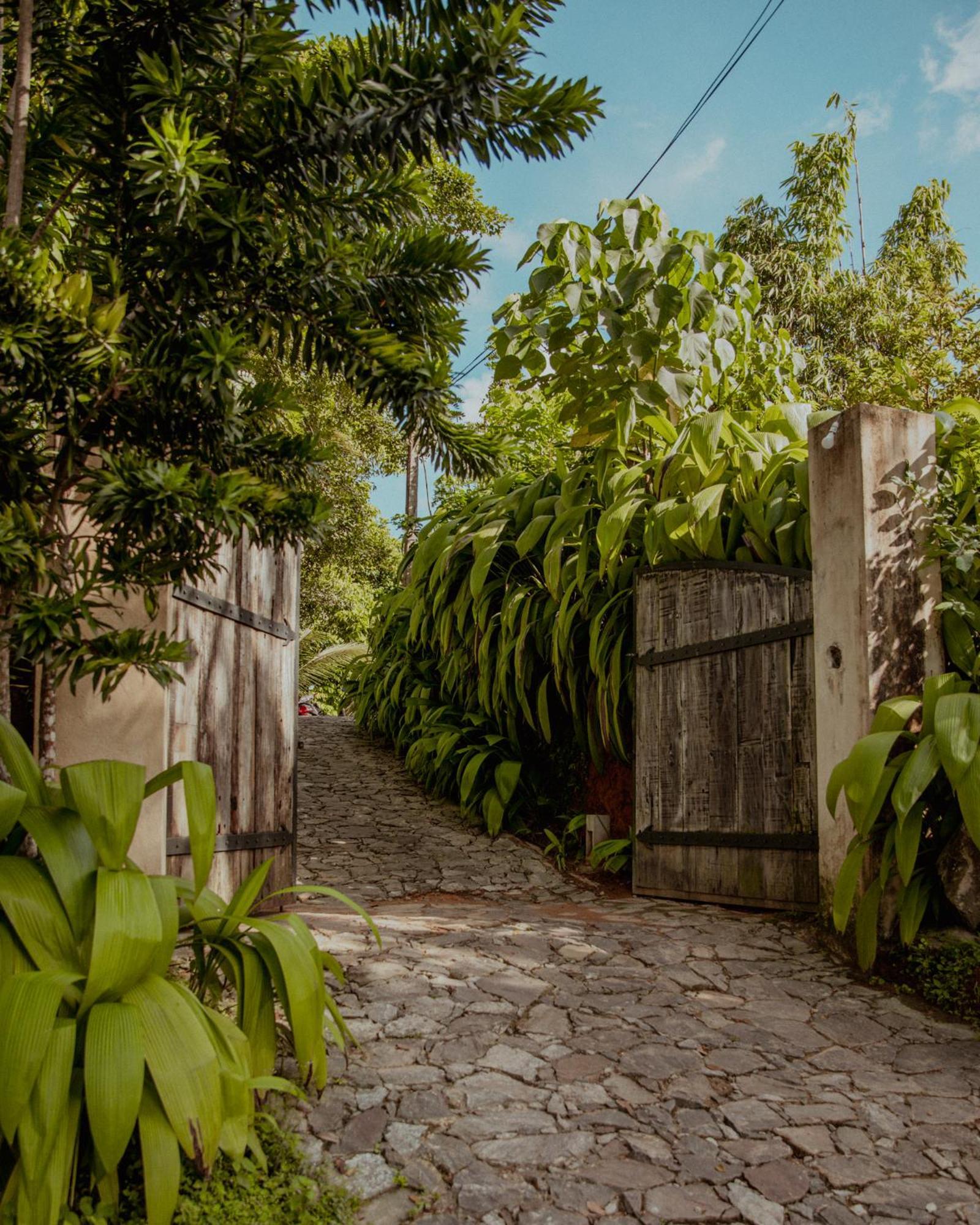 The Jungle Loft Galle Bagian luar foto