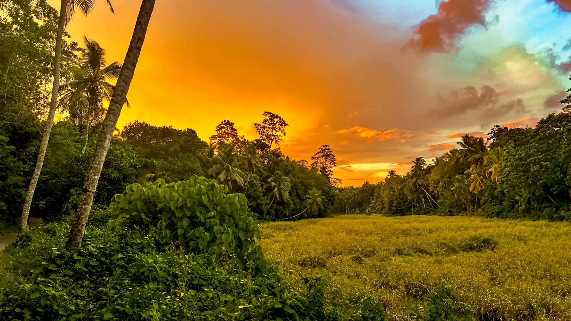 The Jungle Loft Galle Bagian luar foto