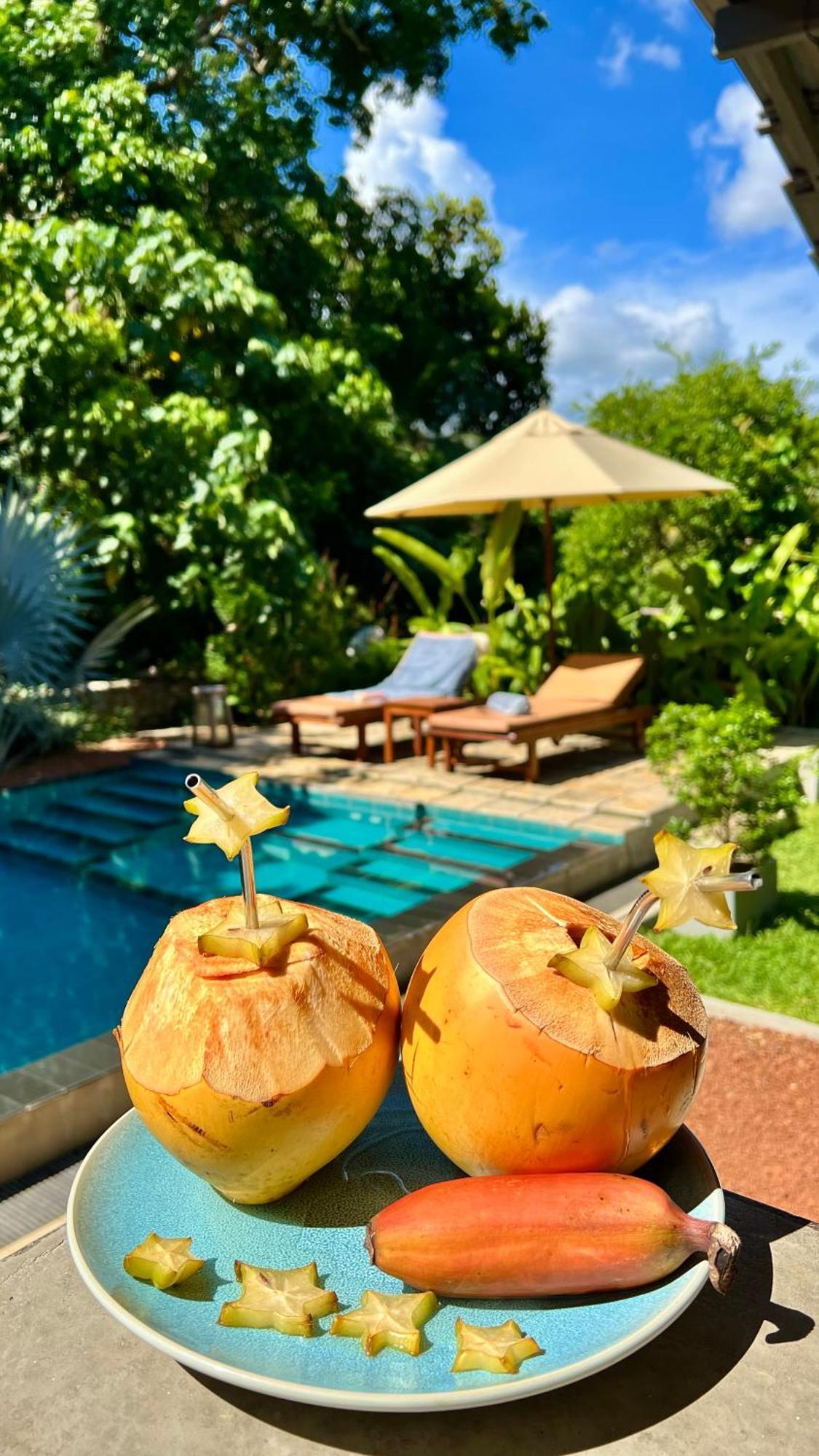 The Jungle Loft Galle Bagian luar foto